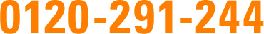 0120-291-244